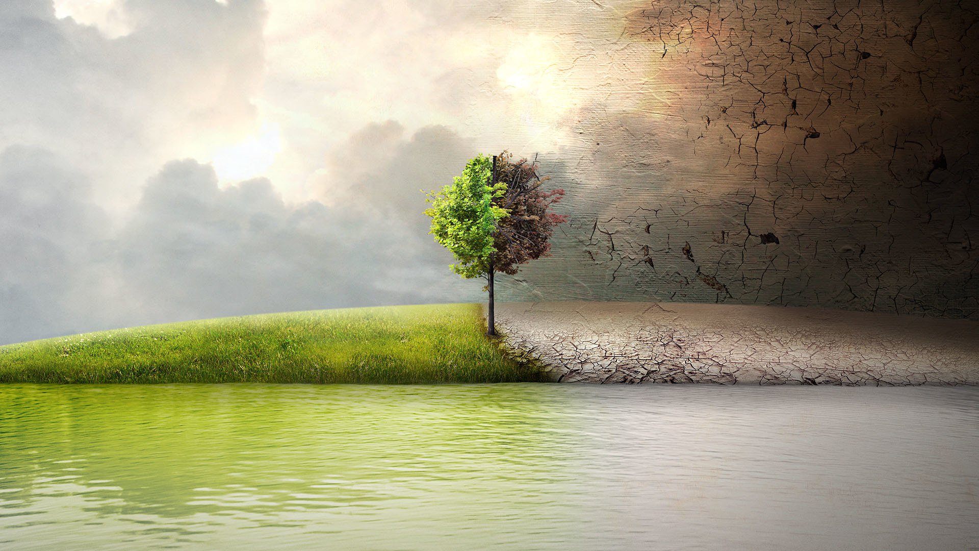 Before the Flood